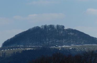 pixabay-100417-post-108-1767109485.jpg