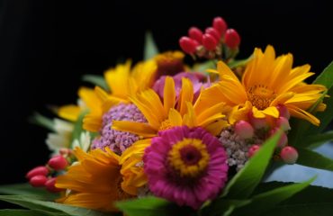 unsplash-dogum-gunu-cicekleri-ozel-gunler