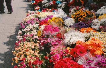 unsplash-sponsorlu-tanitim-cicekciler-isbirligi